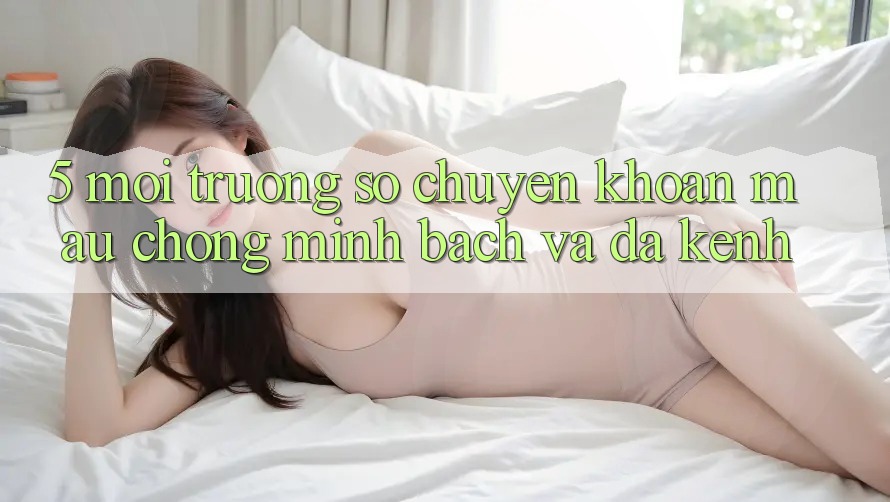5. Môi trường số Chuyển khoản Mau Chóng, Minh Bạch Và Đa Kênh 5. Môi trường số Chuyển khoản Mau Chóng, Minh Bạch Và Đa Kênh