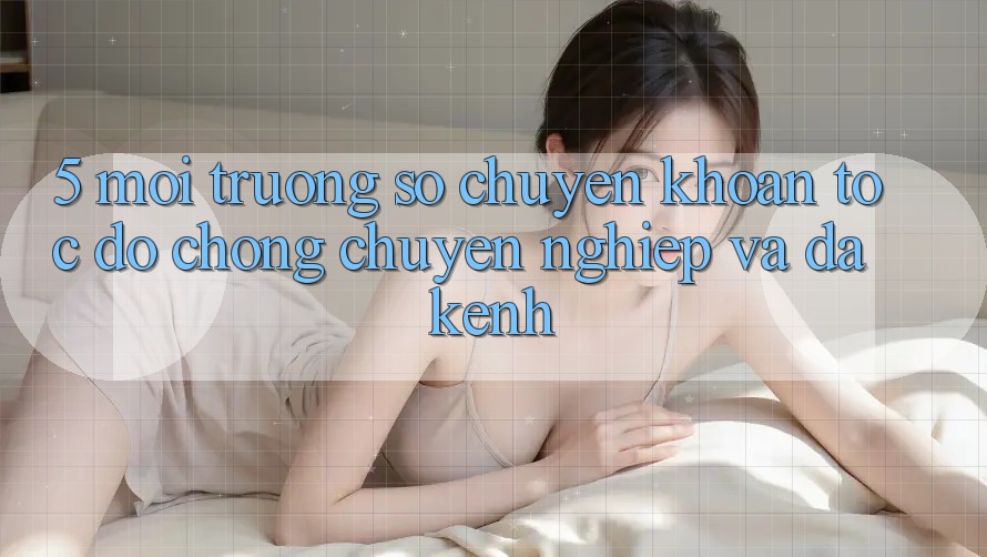 5. Môi trường số Chuyển khoản Tốc độ Chóng, Chuyên nghiệp Và Đa Kênh 5. Môi trường số Chuyển khoản Tốc độ Chóng, Chuyên nghiệp Và Đa Kênh