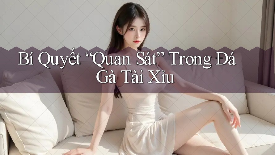 Bí Quyết “Quan Sát” Trong Đá Gà Tài Xỉu Bí Quyết “Quan Sát” Trong Đá Gà Tài Xỉu