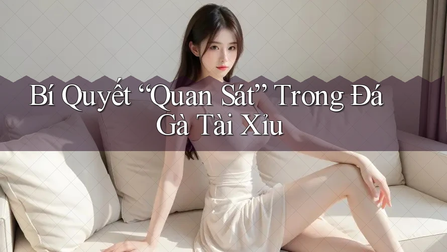 Bí Quyết “Quan Sát” Trong Đá Gà Tài Xỉu Bí Quyết “Quan Sát” Trong Đá Gà Tài Xỉu