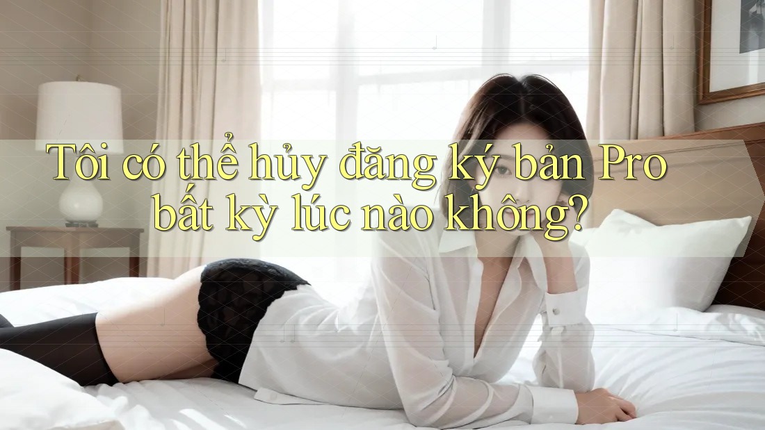 Tôi có thể hủy đăng ký bản Pro bất kỳ lúc nào không?